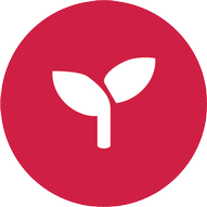 Stock icon